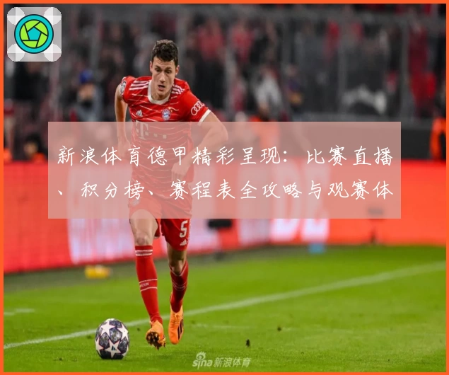 新浪体育德甲精彩呈现：比赛直播、积分榜、赛程表全攻略与观赛体验全面解析