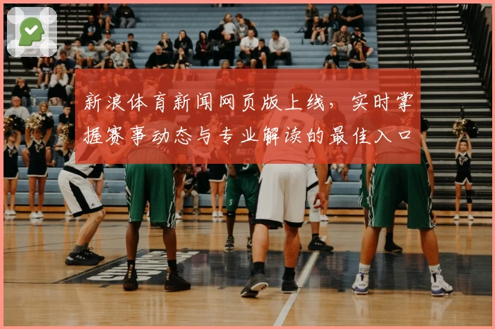 新浪体育新闻网页版上线，实时掌握赛事动态与专业解读的最佳入口