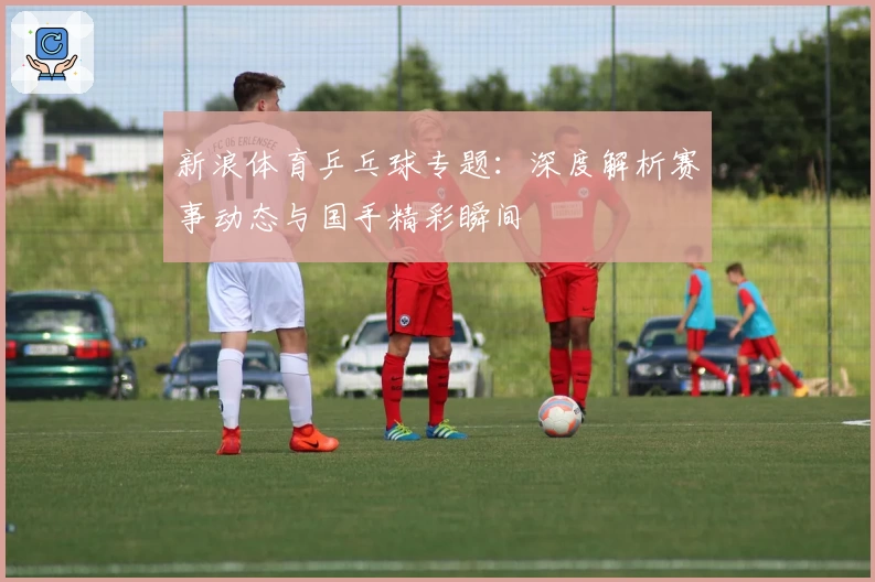 新浪体育乒乓球专题：深度解析赛事动态与国手精彩瞬间