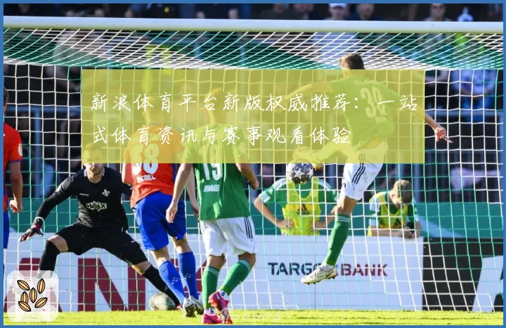 新浪体育平台新版权威推荐：一站式体育资讯与赛事观看体验