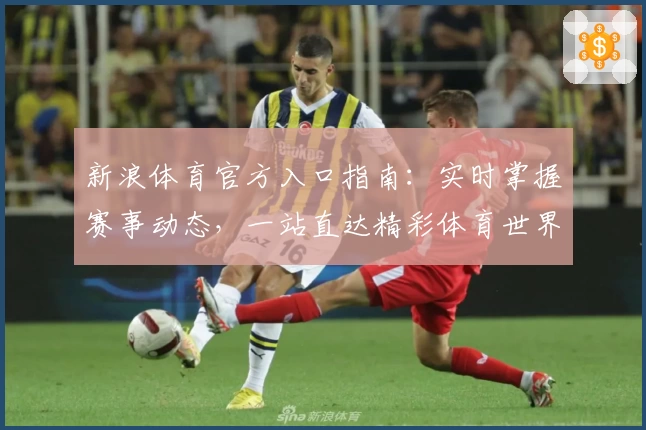 新浪体育官方入口指南：实时掌握赛事动态，一站直达精彩体育世界