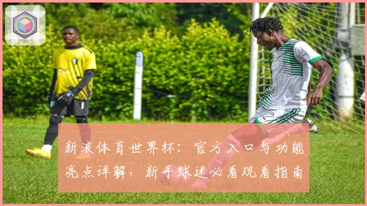 新浪体育世界杯：官方入口与功能亮点详解，新手球迷必看观看指南
