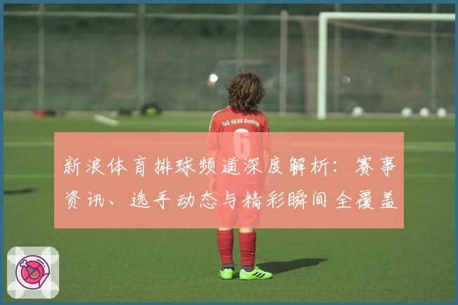 新浪体育排球频道深度解析：赛事资讯、选手动态与精彩瞬间全覆盖