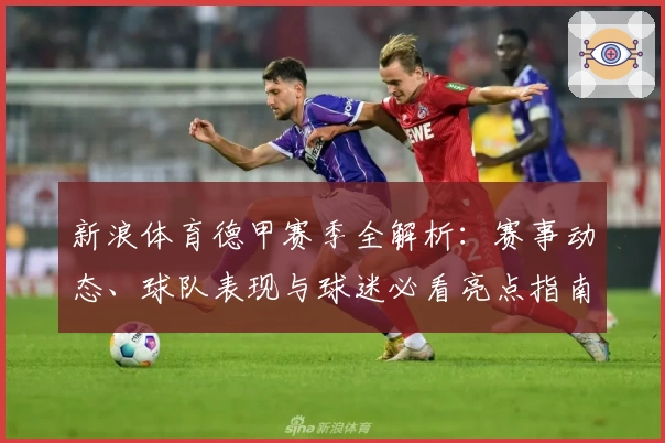 新浪体育德甲赛季全解析:赛事动态、球队表现与球迷必看亮点指南