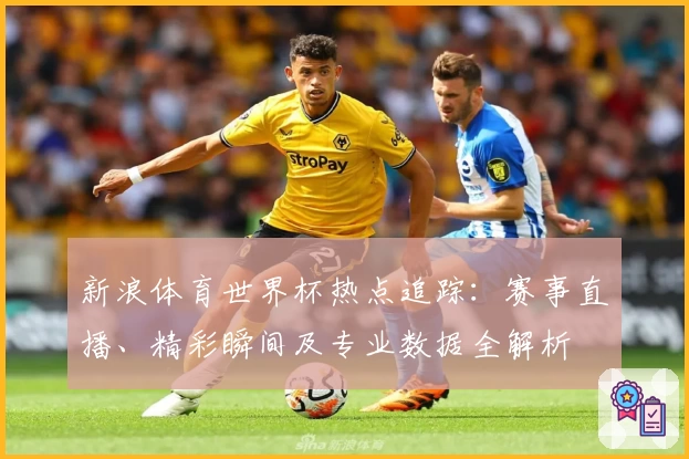 新浪体育世界杯热点追踪：赛事直播、精彩瞬间及专业数据全解析