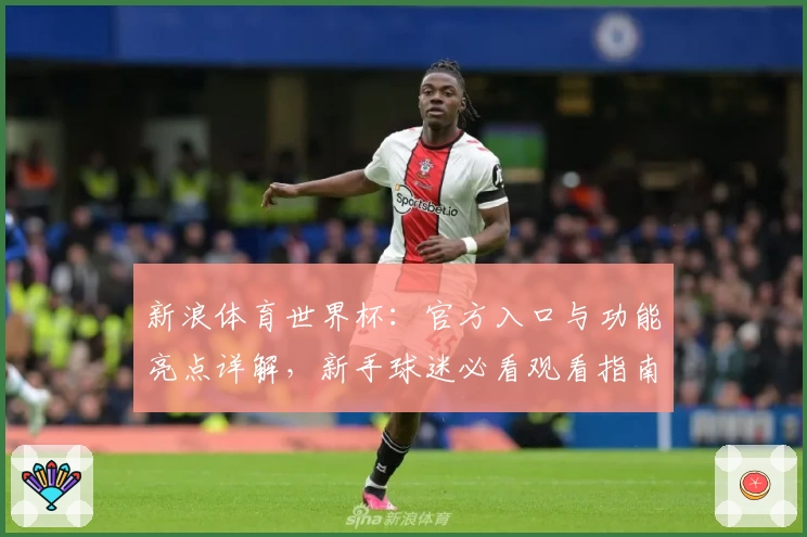 新浪体育世界杯：官方入口与功能亮点详解，新手球迷必看观看指南