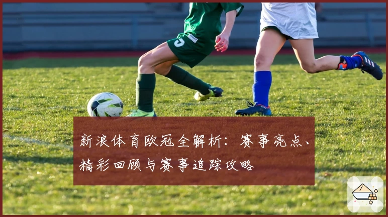 新浪体育欧冠全解析：赛事亮点、精彩回顾与赛事追踪攻略