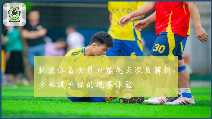 新浪体育会员功能亮点深度解析，全面提升你的观赛体验